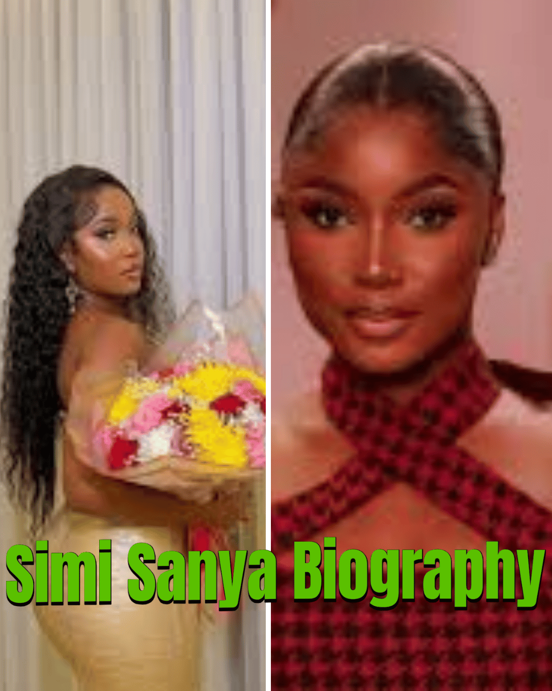 Simi Sanya Biography – Age, Early Life, Career, Relationship, Net Worth & Life Story