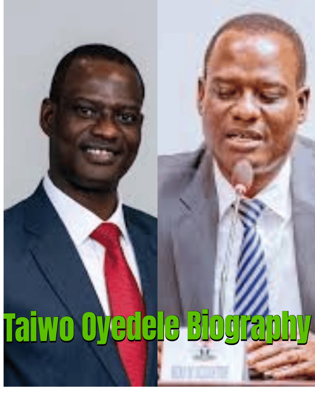 Taiwo Oyedele Biography: Career, Achievements, and Influence Explained