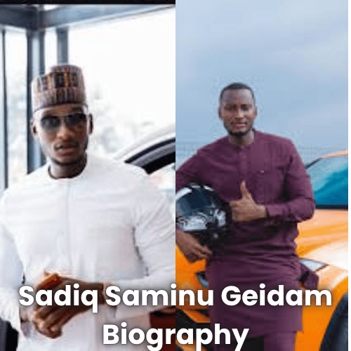 Sadiq Saminu Geidam Biography – Age, Career, Education, and Political Profile